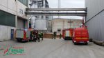 Brand Holzbetrieb 4